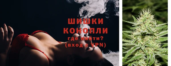 ПСИЛОЦИБИНОВЫЕ ГРИБЫ Магадан