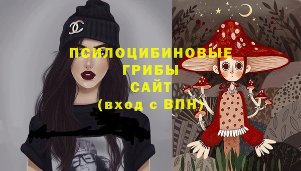 СК Магас