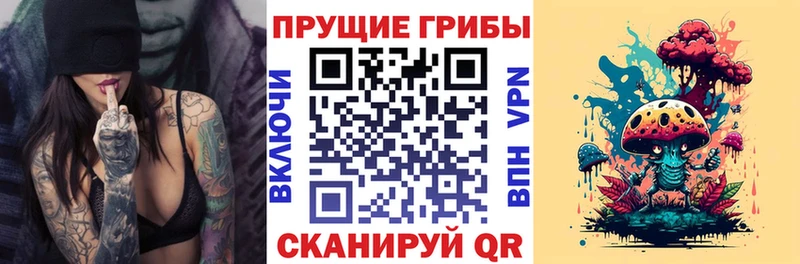 Галлюциногенные грибы ЛСД  Талдом 